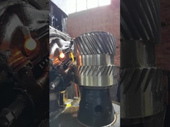 12 mô-đun đơn xoắn dẫn 76 răng cho hộp số